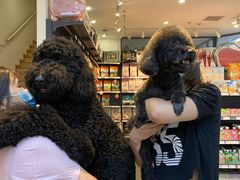 -萌兽医馆·眼科·异宠专科(三里屯店)