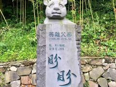 -都江堰中华大熊猫苑
