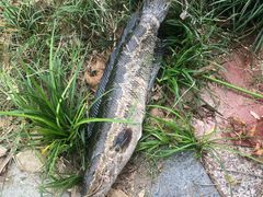 -苏州河梦清园环保主题公园