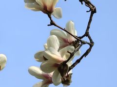 -桃源居(蠡园店)