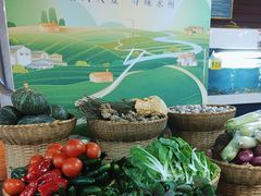 -故乡缘·香格里拉山庄(冷竹路店)