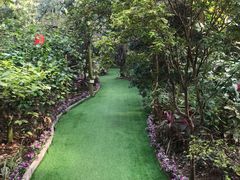 -呀路古热带植物园