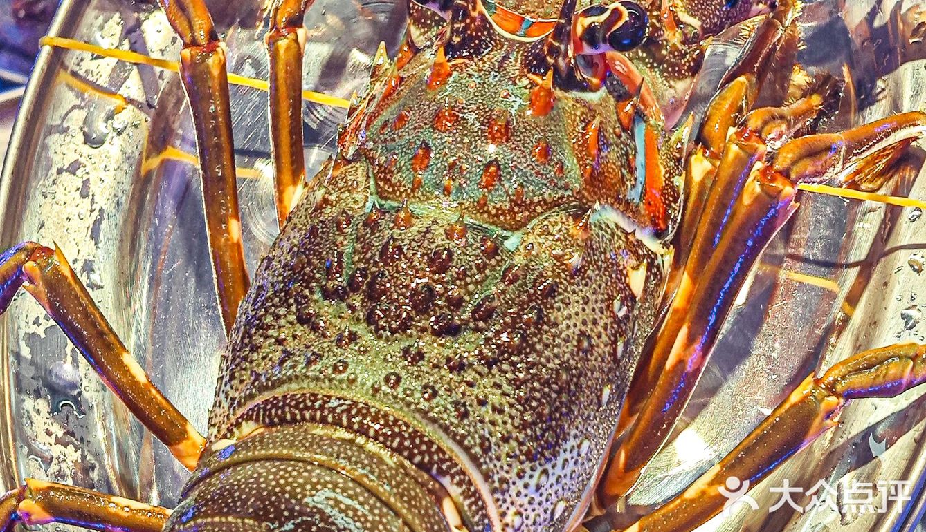 200多种海鲜现捞现煮‼️不能错过的海鲜火锅