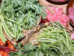 -阳阳老火锅(小南门店)