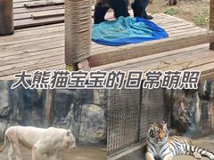 -南昌动物园