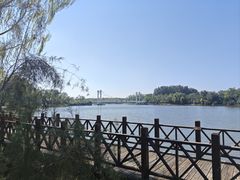 -塘沽森林公园