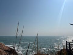 -广东惠东海龟国家级自然保护区