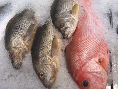 -Cold Storage(sunway putra mall)