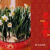 劈哩叭啦🧨咻咻嘣嘣[礼花]过年啦[红包]