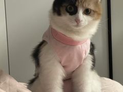 -宠福鑫动物医院(城北分院)