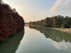 -上海海湾国家森林公园