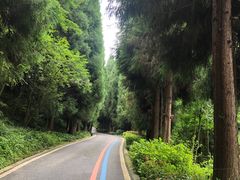 -太阳湾风景区