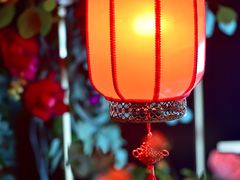 -成都保利公园皇冠假日酒店(熊猫基地店)