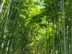 -苏州环秀晓筑养生度假村