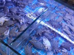 -海韵之星邮轮水会(明发商业广场店)