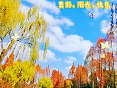 -大宁公园