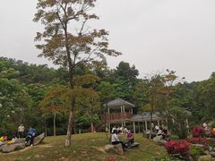 -火炉山森林公园