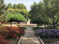 -石家庄市植物园