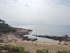 -广东惠东海龟国家级自然保护区