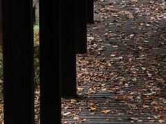 -宝岩生态观光园