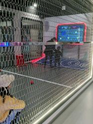 -龙小湖探索乐园 Little Hoo Galaxy(龙湖重庆金沙天街店)