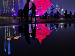 -Mr.P's无国籍料理