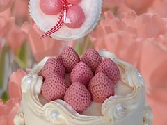 -壹点壹客·生日蛋糕(南山店)