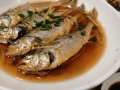 小鱼饼-温州炎亭海鲜阁(万塘路店)