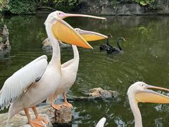 -昆明动物园