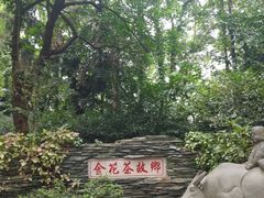 -金花茶公园