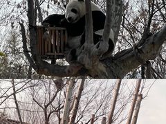 -济南野生动物世界