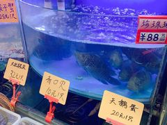 -蔚海之都·象山蒸汽海鲜(仙霞路店)