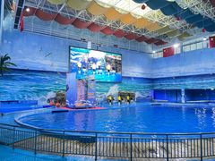 -多彩贵州城极地海洋世界