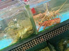 水产区-海大大蒸汽海鲜餐厅·粤菜·特色小炒(欢乐颂店)