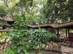 -西湖公园(鼓楼区)