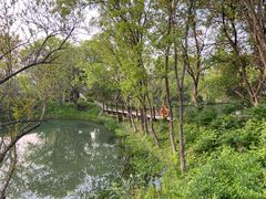 -西溪国家湿地公园