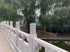 -朝阳公园游乐园