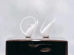 -BLACKSWAN黑天鹅(环球店)