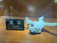 -青岛德国总督楼旧址博物馆