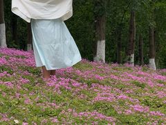 -白鹭湾湿地公园