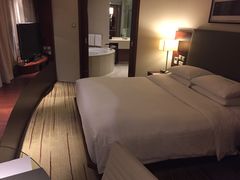 -香港尖沙咀凯悦酒店