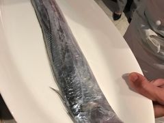 展示海钓带鱼-鲁采LU STYLE(新天地店)