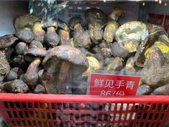 -太婆天府山珍酒楼(亚运村店)