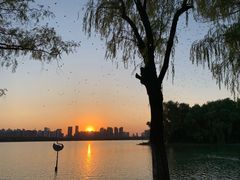 -天鹅湖体育公园