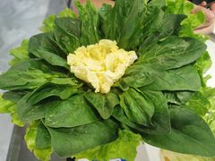 -老王全牛宴·鲜牛肉牛杂火锅(总店)