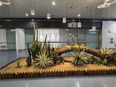 -银川河东国际机场