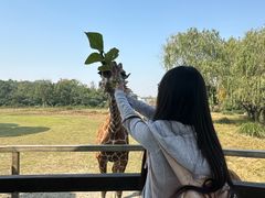 -宁波野生动物园