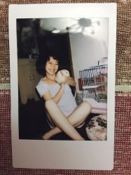 烫染-大象造型