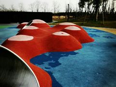 -春花秋色城市公园