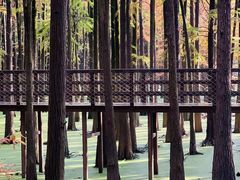 -青山湖景区